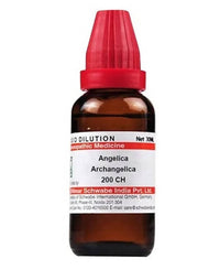 Thumbnail for Dr. Willmar Schwabe India Angelica Archangelica Dilution