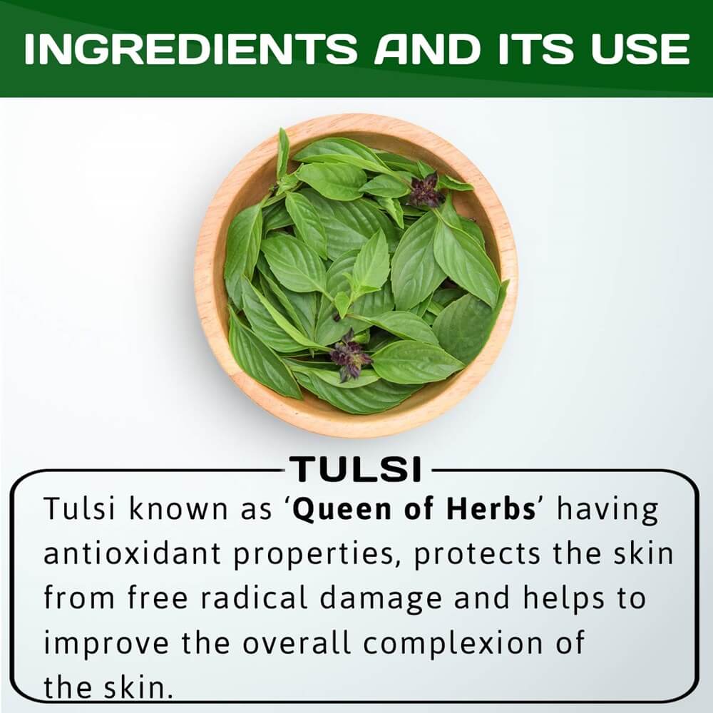 Jain Tulsi Ocimum Sanctum/Holy Basil Pure Powder Ingredients