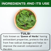 Thumbnail for Jain Tulsi Ocimum Sanctum/Holy Basil Pure Powder Ingredients
