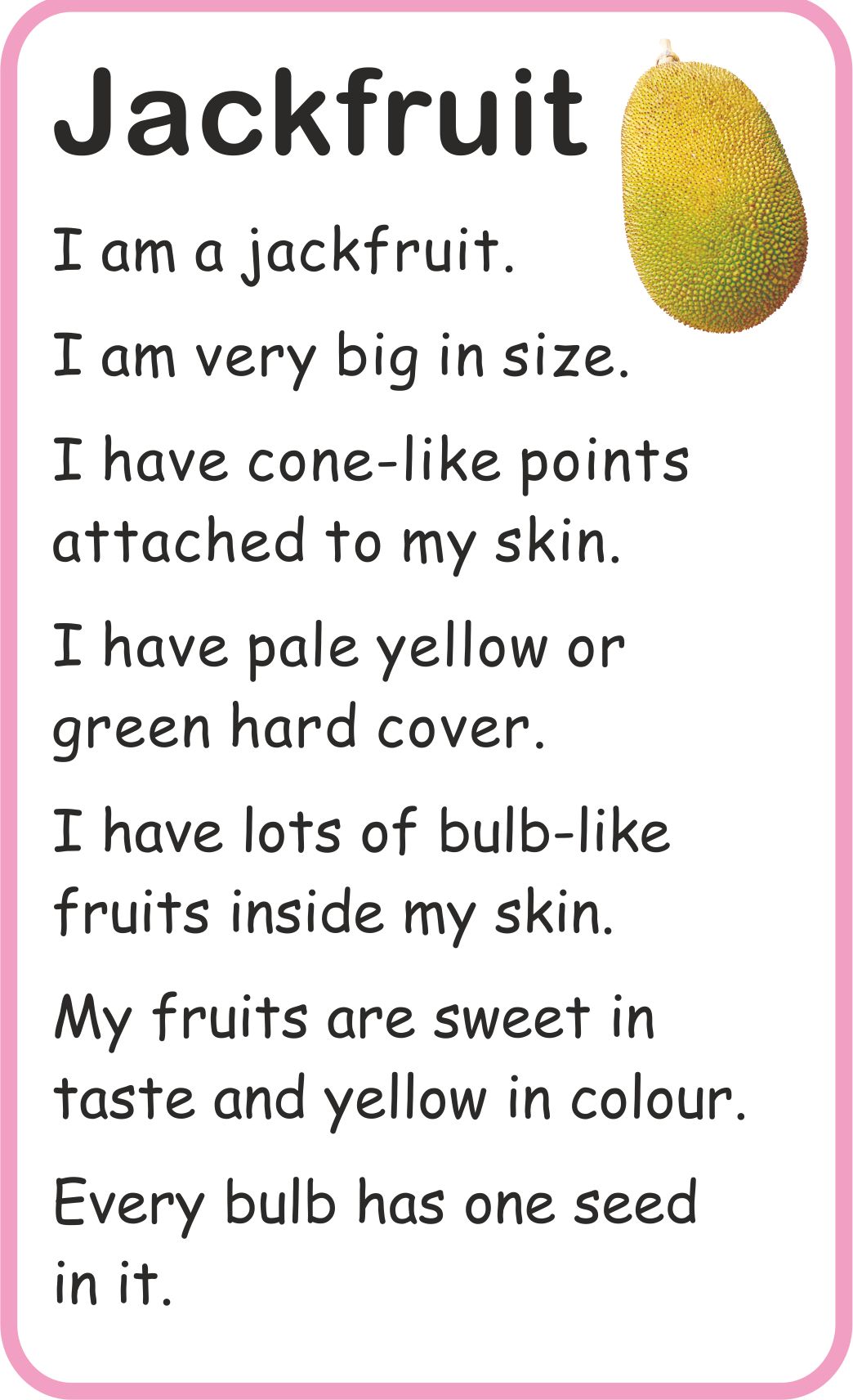 Jolly Kids Flash Card - Fruits - Distacart