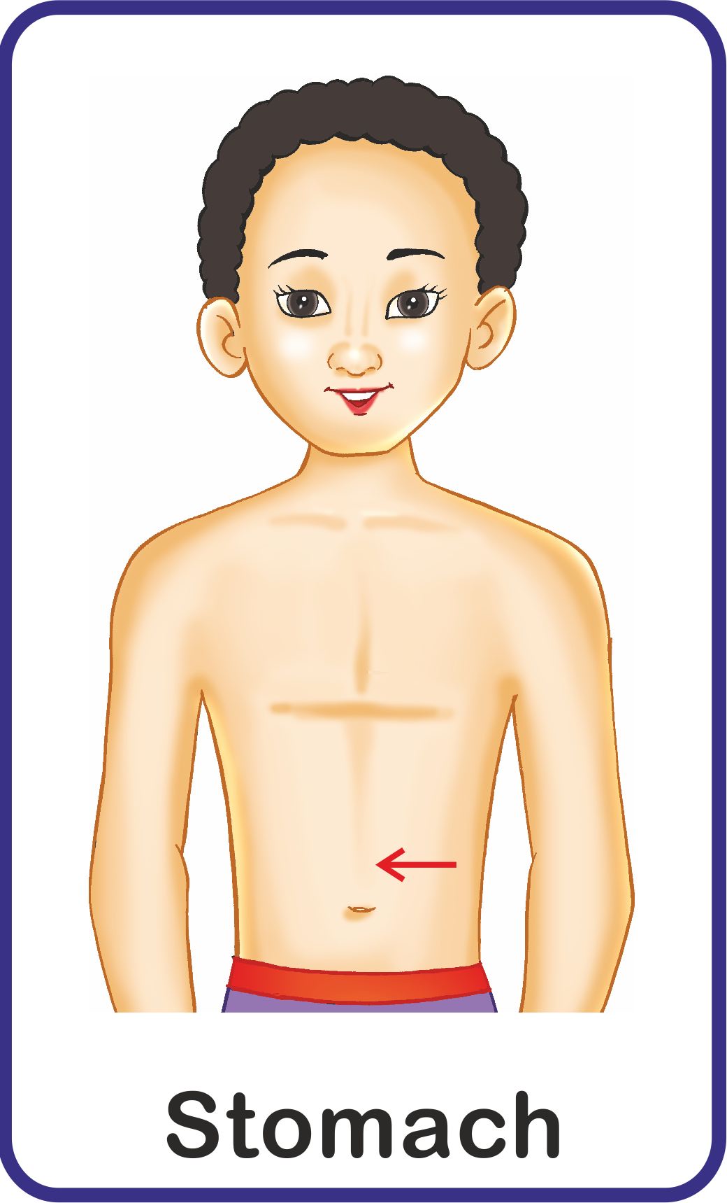 Jolly Kids Flash Card - My Body Parts - Distacart