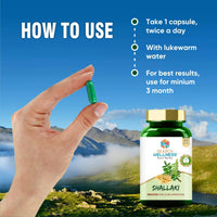 Thumbnail for Search Wellness Shallaki Capsules - Distacart