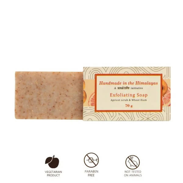 Soultree Exfoliating Soap - Distacart