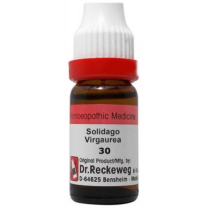 Dr. Reckeweg Solidago Virgaurea Dilution - Distacart
