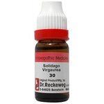 Thumbnail for Dr. Reckeweg Solidago Virgaurea Dilution - Distacart