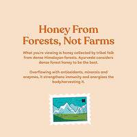 Thumbnail for Kapiva Ayurveda Ginger Burst Honey