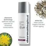 Thumbnail for Dermalogica Dynamic Skin Recovery SPF 50 Face Moisturizer & Sunscreen - Distacart