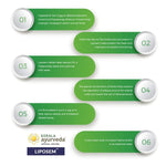 Thumbnail for Liposem Tablet - 100 Tablets