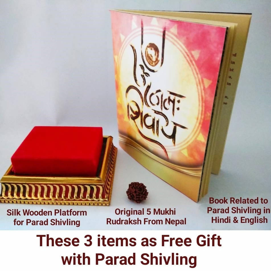 G.S Rana Parad Shivling (50 Gram) Parad Shivling (29 mm) free gift