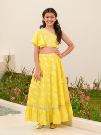 Thumbnail for Girls Printed Ready To Wear Lehenga Choli - Mini Marvels - Distacart