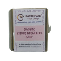 Thumbnail for Satjeevan Organic Citrus Boswellia Soap - Distacart