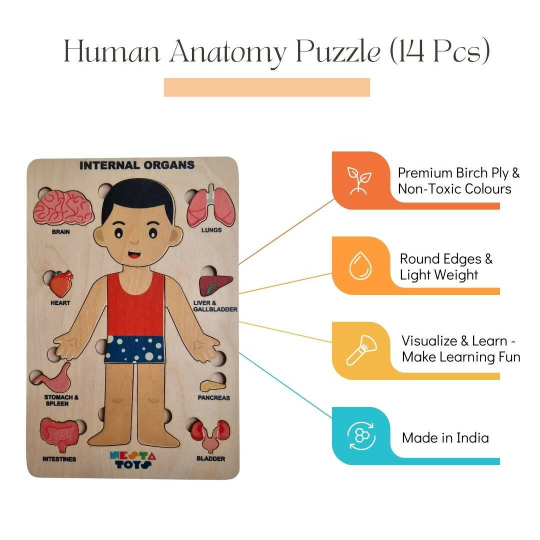 Nesta Toys Human Body | Internal Organs Wooden Puzzle - Distacart