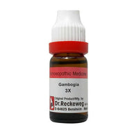 Thumbnail for Dr. Reckeweg Gambogia Dilution - Distacart