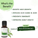 Thumbnail for Mystiq Living Originals Tea Tree Essential Oil - Distacart