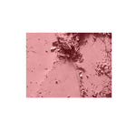 Thumbnail for Mac Powder Blush - Mocha online