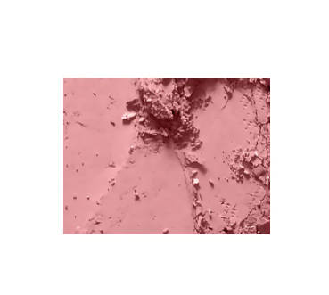 Mac Powder Blush - Mocha online