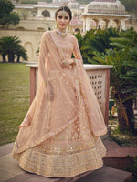 Thumbnail for Myra Blush Net Heavy Embroidered Designer Lehenga - Distacart
