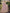 Myra Moor Net Heavy Embroidered Lehenga - Distacart