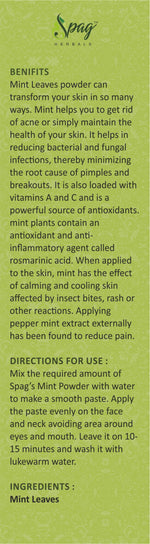 Thumbnail for Spag Herbals Premium Mint Leaf Powder - Distacart