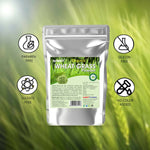 Thumbnail for Syndy Pharma Organic Wheat Grass Powder - Distacart