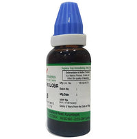 Thumbnail for Hering Pharma Ginkgo Biloba Mother Tincture Q - Distacart