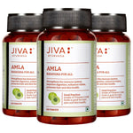 Thumbnail for Jiva Ayurveda Amla Tablets - Distacart