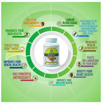 Thumbnail for Sushrut Ayurved Good Health Cinnamon Veg Capsules - Distacart