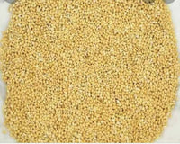 Thumbnail for Weefa Organic Foxtail Millet ( Navane/Thinai/Korralu) - Distacart