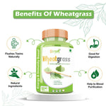 Thumbnail for Divya Shree Wheatgrass Capsules - Distacart