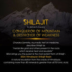 Thumbnail for Sesa Wellness Himalayan Sj Resin - Distacart