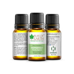 Thumbnail for Bliss of Earth Premium Essential Oil Peppermint - Distacart