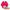 Forest Essentials Luscious Lip Balm Sugared Rose Petal - Distacart