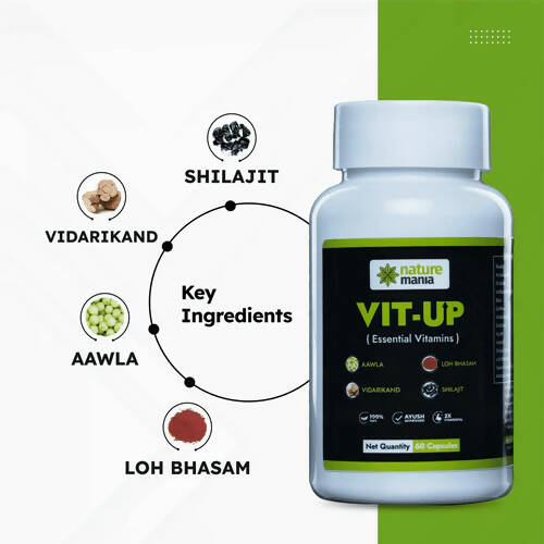 Nature Mania Vit-Up Capsules (Vit D & Vit B12 Multivitamin) - Distacart