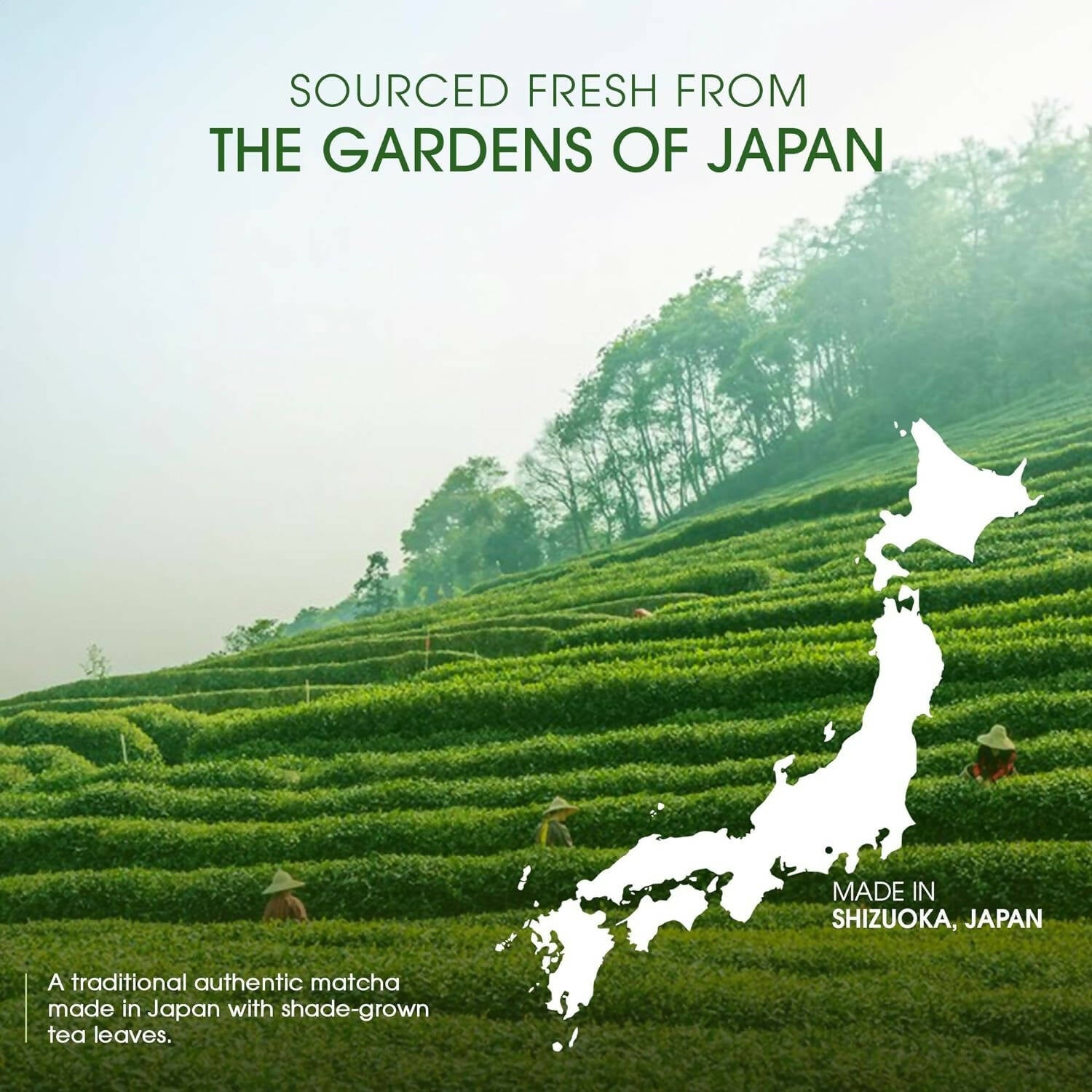 Teabox Pure Matcha Green Tea Powder - Distacart