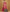 Pink Silk Woven Design Saree With Unstitched Blouse Piece - Akshita - Distacart
