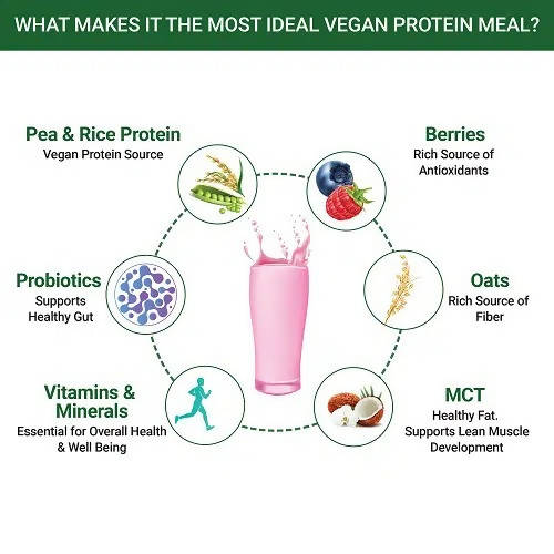 Inlife Vegan Protein Meal Mixed Berry Flavour