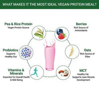 Thumbnail for Inlife Vegan Protein Meal Mixed Berry Flavour