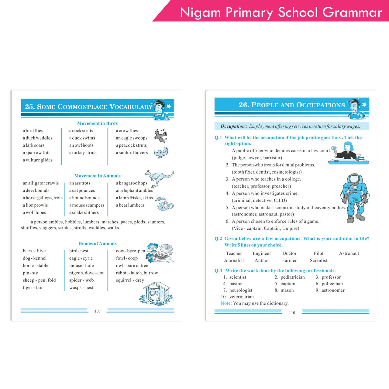 Nigam My Blue Book of Primary School Grammar * Suffix, Prefix, Homophones, Sentences, Preposition, Adverbs, Verbs, Pronouns, Adjectives, Nouns - Distacart