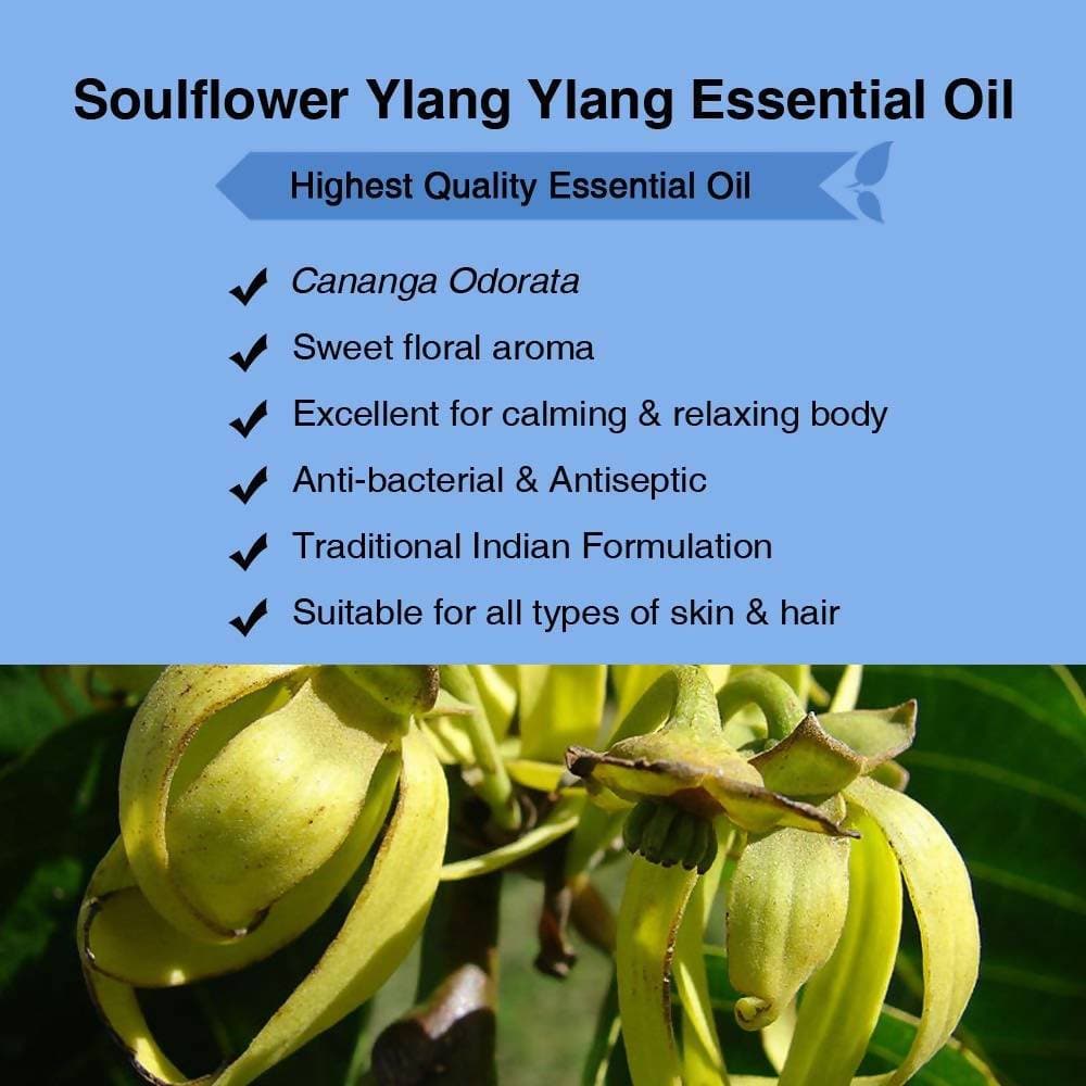 Soulflower Ylang Ylang Essential Oil - Distacart