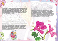 Thumbnail for Dreamland The Timeless Wisdom Of Flozy Reiki - Distacart