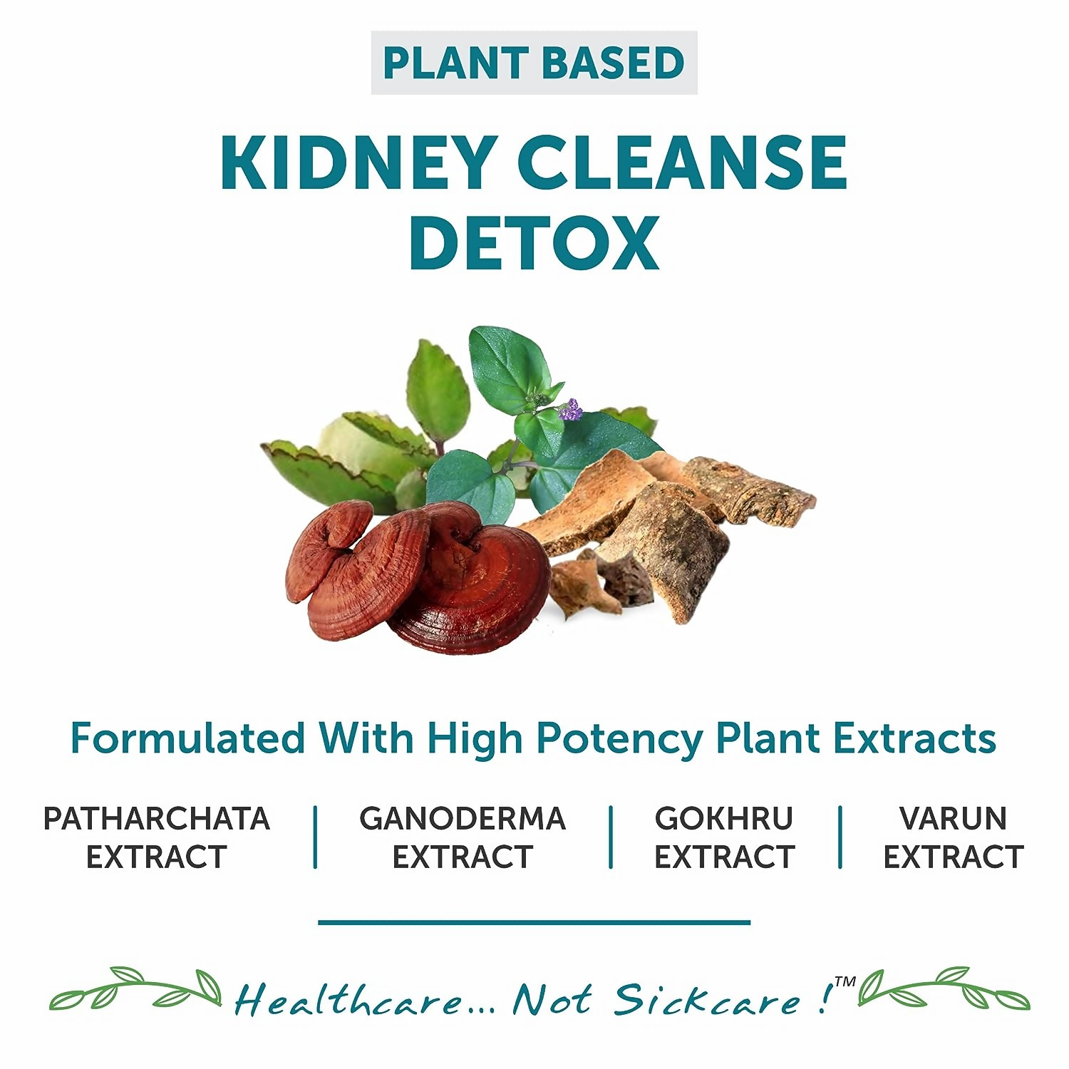 Bliss Welness Kidney Detox Tablets - Distacart