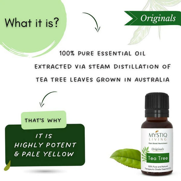 Mystiq Living Originals Tea Tree Essential Oil - Distacart