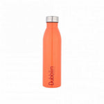 Thumbnail for Dubblin Season Stainless Steel Fridge Water Bottle - Distacart