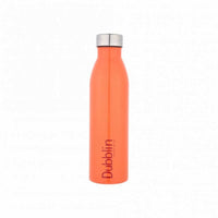 Thumbnail for Dubblin Season Stainless Steel Fridge Water Bottle - Distacart