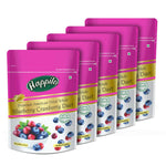 Thumbnail for Happilo Premium Dried Blueberry Cranberry Duet - Distacart