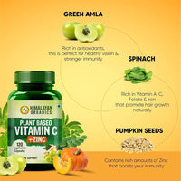 Thumbnail for Plant Based Vitamin C + Zinc Double Immune Support: