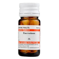 Thumbnail for Dr. Willmar Schwabe India Pancreatinum Trituration Tablets