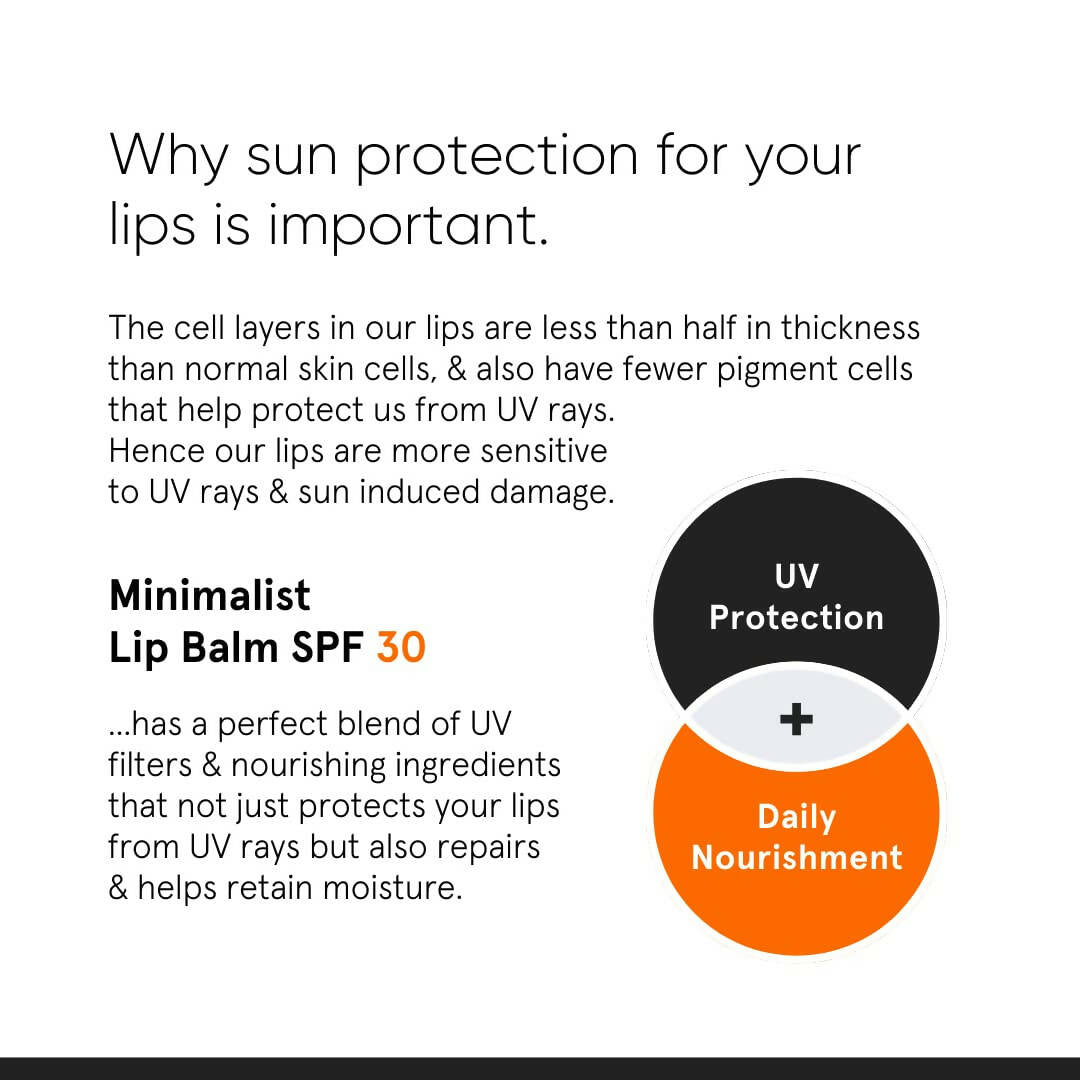 Minimalist SPF 30 Lip Balm For Protection & Nourishment - Distacart