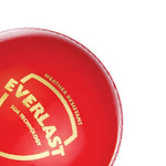 Thumbnail for SG Everlast Leather Cricket Ball - Red - Distacart