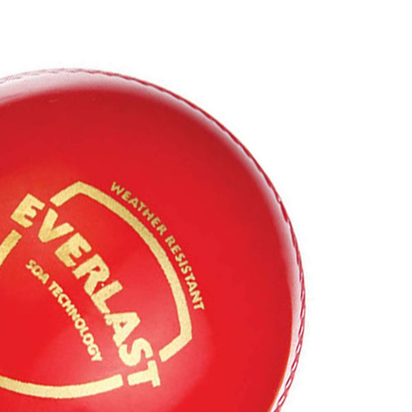 SG Everlast Leather Cricket Ball - Red - Distacart